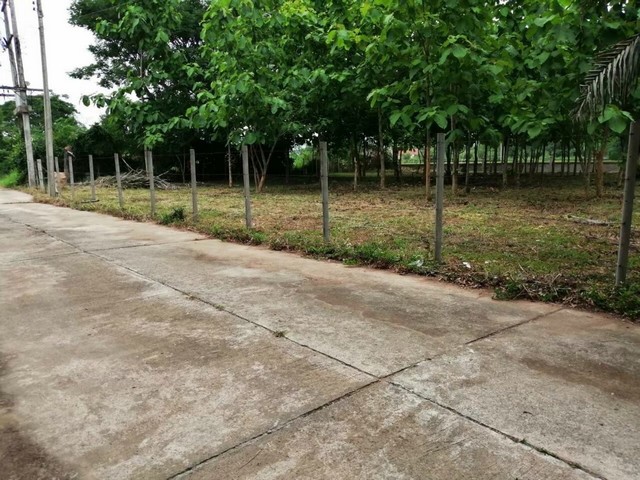 #ขายที่ดิน ต.หนองแหย่ง อ.สันทราย จังหวัดเชียงใหม่ 3 งาน 21 ตรว. 