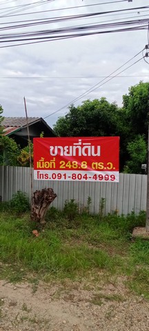 ขายที่ดินสวย ติดถนนโชตนา (ฝาง -เชียงใหม่) ต. ศรีดงเย็น อ.ไชยปราการ  จ.เชียงใหม่  ใกล้ฮิโนกิแลนด์