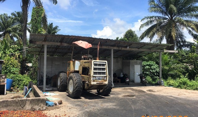 ขายอาคารพาณิชย์     อำเภอคลองท่อม  กระบี่ (PKK04-05470)