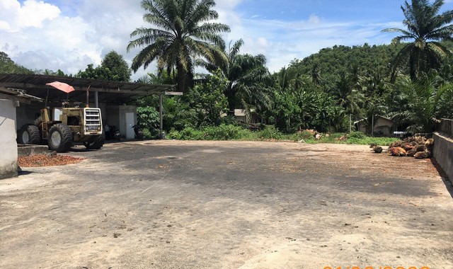 ขายอาคารพาณิชย์     อำเภอคลองท่อม  กระบี่ (PKK04-05470)