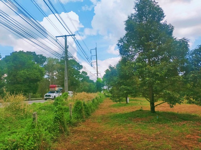 ขายสวนทุเรียนให้ผลผลิตเต็มที่ติดถนนสุขุมวิท 18 ไร่เขตซากโดน อ.แกลง จ.ระยอง