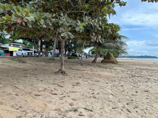 ฮวงจุ้ยดีรับปีมะโรงทรัพย์ดีสำหรับเจ้าของใหม่ ที่ดินริมหาดสะพลีทรายขาวน้ำใสคราม สวยงามวิวทะเลธรรมชาติสุดสุด ปะทิวใกล้หาดสวยทุ่งวัวแล่น  