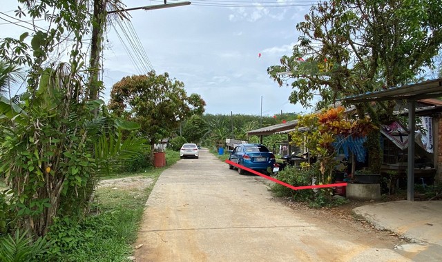 ขายบ้านเดี่ยว       อำเภอกันตัง  ตรัง (PKK02-15442)