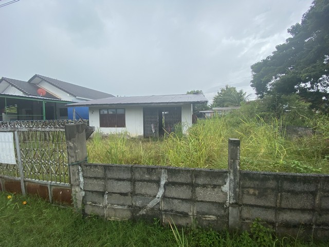 ขายที่ดินว่างเปล่า  ร้อยเอ็ด เมืองร้อยเอ็ด จ.ร้อยเอ็ด PSC00624