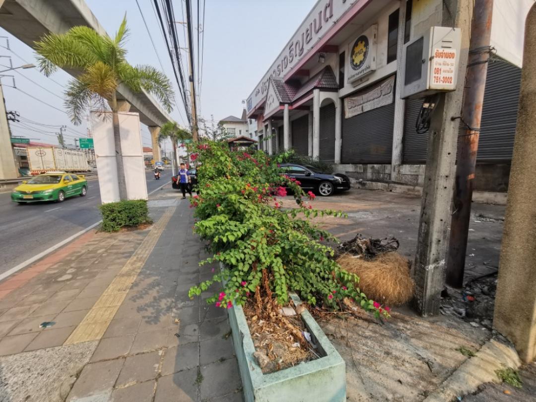 ให้เช่าอาคารพาณิชย์ ใกล้สถานี BTSศรีนครินทร์  ติดถนนใหญ่สุขุมวิท เนื้อที่ 400 ตารางวา พร้อมอาคาร 1000 ตรม. 3 ชั้น 