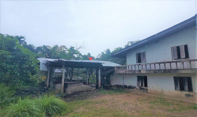 ขายบ้านเดี่ยว      อำเภอห้วยยอด   ตรัง (KK02-11592)