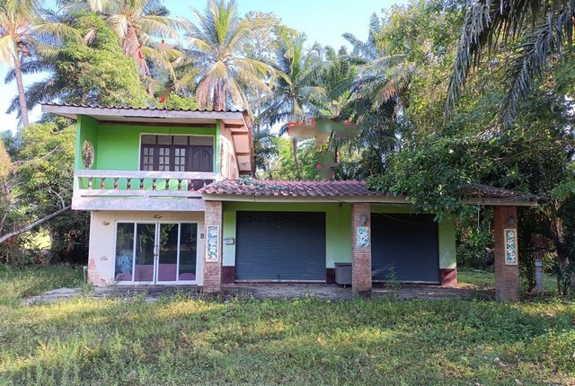 ขายบ้านเดี่ยว       อำเภอวังวิเศษ  ตรัง (PKK02-14990)