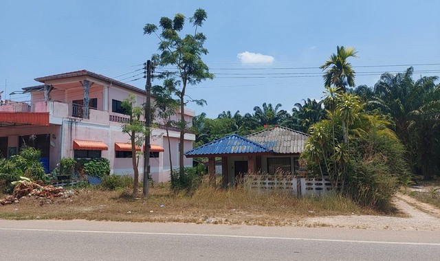 ขายบ้านเดี่ยว      อำเภอวังวิเศษ  ตรัง (PKK02-14418)
