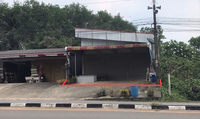 ขายบ้านเดี่ยว อำเภอวังวิเศษ ตรัง (PKK02-13362)
