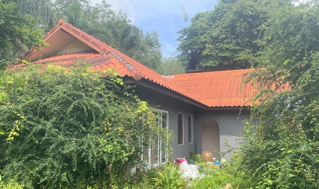 ขายบ้านเดี่ยว      อำเภอวังวิเศษ  ตรัง (PKK02-12019)