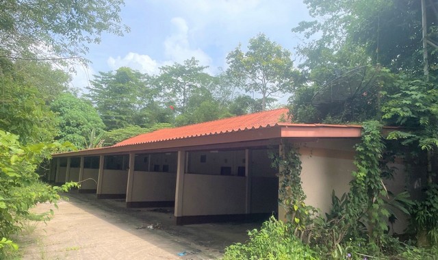 ขายบ้านเดี่ยว      อำเภอวังวิเศษ  ตรัง (PKK02-12019)
