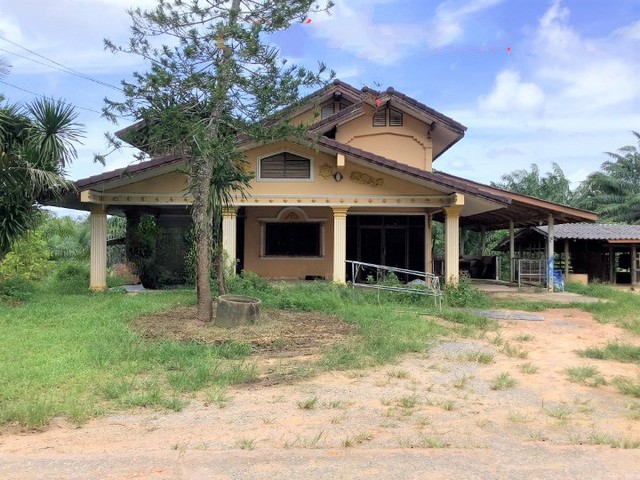 ขายบ้านเดี่ยว      อำเภอวังวิเศษ  ตรัง (PKK02-10952)