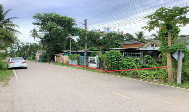 ขายบ้านเดี่ยว         อำเภอนาโยง  ตรัง (PKK02-13967)
