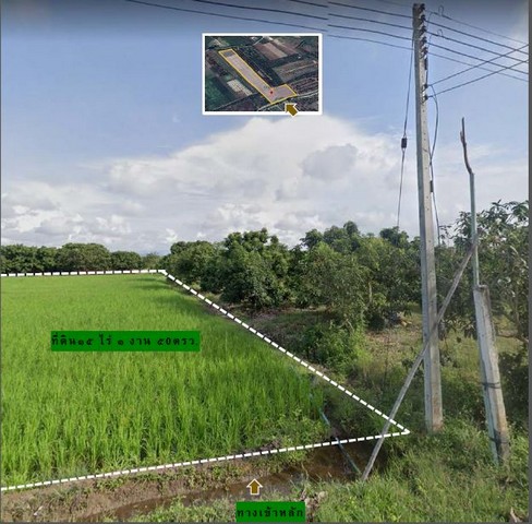 ขายที่ดินแบ่งเริ่ม 1ไร่ 533,000บ. ผ่อนได้ ถนนคอนกรีตหน้าหลัง เลียบแม่น้ำปิง ต.หนองยวง อ.เวียงหนองล่อง ลำพูน
