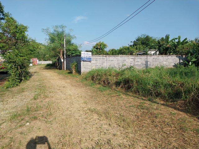 ขายที่ดินถมแล้วพร้อมบ้าน ขนาด 250 ตรว ต.ทับกวาง อ.แก่งคอย จ.สระบุรี