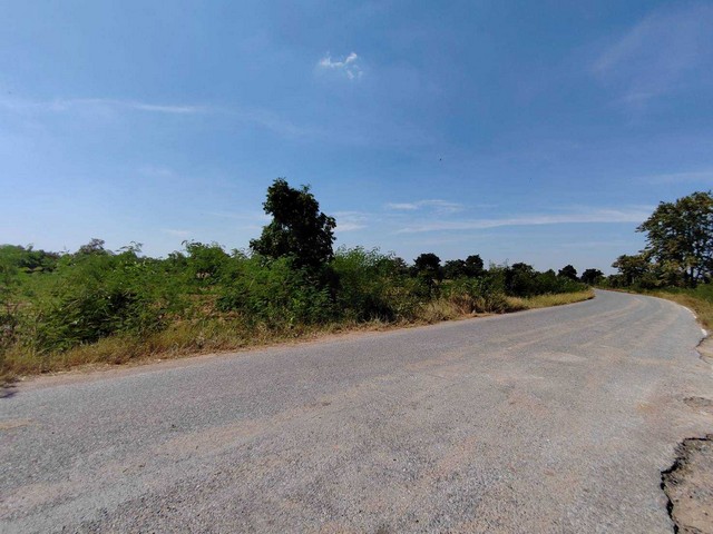 ขายด่วนที่ดินที่นา 5-3-30  ไร่  ติดถนนกระสัง-หนองไข่น้ำ ต.จันอัด  อ.โนนสูง   จ.นครราชสีมา   ZE586