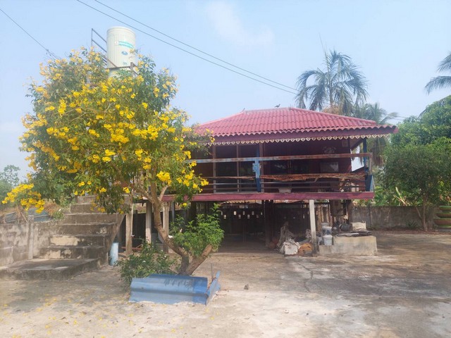 ขายด่วน รีสอร์ทแอนด์สปา  พื้นที่ 2-1-79  ไร่ ต.บ้านป่า อ. เมือง จ. พิษณุโลก  ZK230