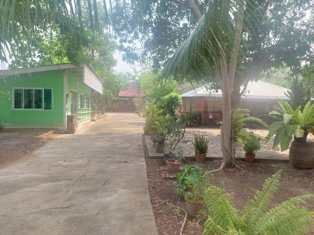 ขายด่วน รีสอร์ทแอนด์สปา  พื้นที่ 2-1-79  ไร่ ต.บ้านป่า อ. เมือง จ. พิษณุโลก  ZK230