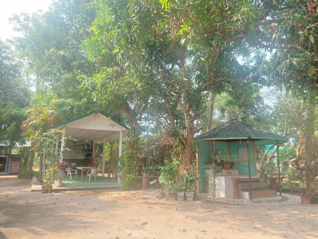 ขายด่วน รีสอร์ทแอนด์สปา  พื้นที่ 2-1-79  ไร่ ต.บ้านป่า อ. เมือง จ. พิษณุโลก  ZK230