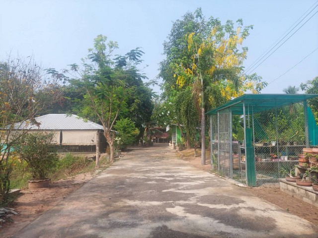 ขายด่วน รีสอร์ทแอนด์สปา  พื้นที่ 2-1-79  ไร่ ต.บ้านป่า อ. เมือง จ. พิษณุโลก  ZK230