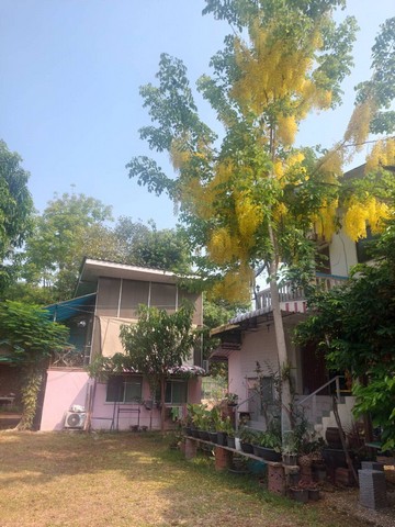 ขายด่วน รีสอร์ทแอนด์สปา  พื้นที่ 2-1-79  ไร่ ต.บ้านป่า อ. เมือง จ. พิษณุโลก  ZK230