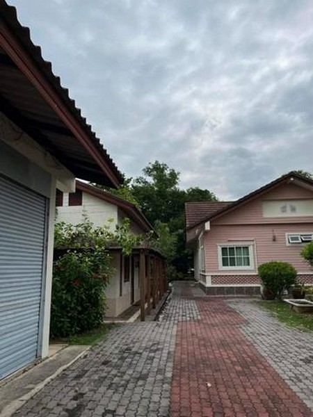 ขายที่ดินย่านท้ายหาด แม่กลอง สมุทรสงคราม ติดแม่น้ำแม่กลอง 1-3-99 ไร่ และที่งอกริมตลิ่งพร้อมสิ่งปลูกสร้าง