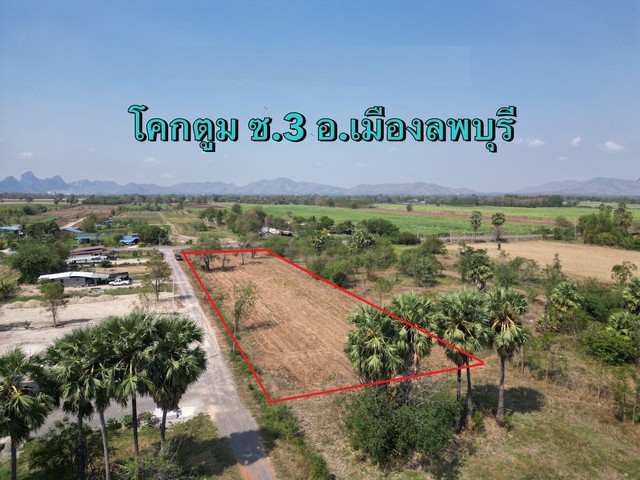 ขายที่ดินแบ่งเริ่ม 97ตรว. 288,000บาท ฟรีโอน ถนน น้ำ ไฟ โคกตูมซอย3 ต.โคกตูม อ.เมือง ลพบุรี