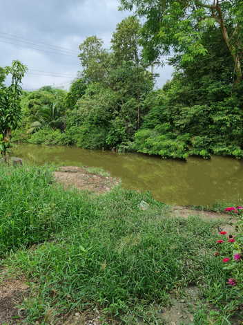 ขายที่ดินพร้อมสิ่งปลูกสร้าง เข้าออกได้หลายสาย ลาดหลุมแก้ว ปทุมธานี อยู่ระหว่างถนนสาย340และสาย346