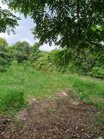 ขายที่ดินพร้อมสิ่งปลูกสร้าง เข้าออกได้หลายสาย ลาดหลุมแก้ว ปทุมธานี อยู่ระหว่างถนนสาย340และสาย346