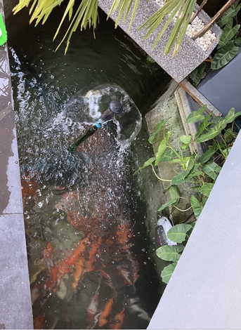 ขายบ้านสวนสไตล์พลูวิลล่า บ้านแม่สะลาบ อำเภอสารภี จังหวัดเชียงใหม่  (เจ้าของขายเอง)