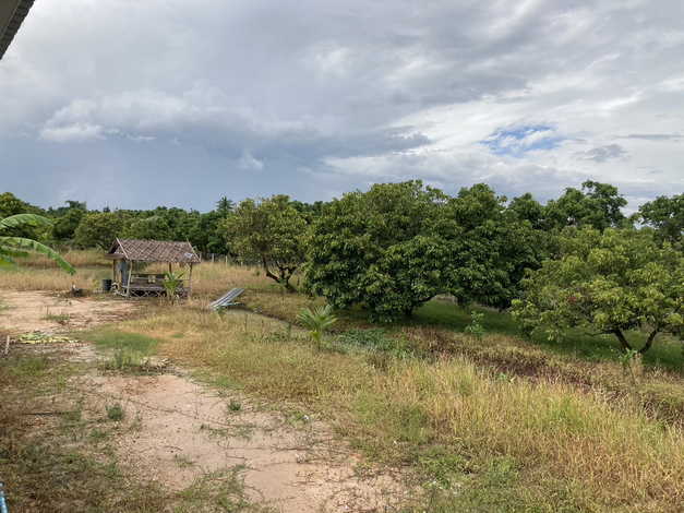 ขายบ้านสวนสไตล์พลูวิลล่า บ้านแม่สะลาบ อำเภอสารภี จังหวัดเชียงใหม่  (เจ้าของขายเอง)