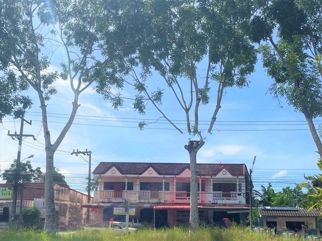 ขายอาคารพาณิชย์    อำเภอห้วยยอด  ตรัง (PKK04-06217)