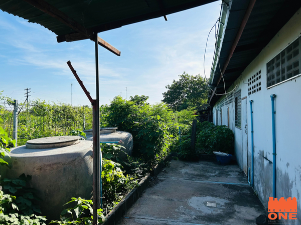 ขายที่ดินพร้อมห้องแถว 7 ห้อง 124 ตร.ว.อ.ชัยบาดาล จ.ลพบุรี