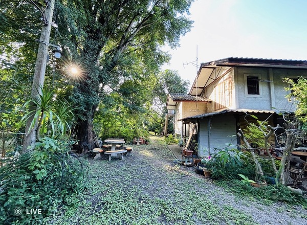  ขายที่ดินพร้อมบ้านสวน ห้อง เนื้อที่ 1ไร่ 13 ตร.ว. [M25662] อ.ชัยบาดาล จ.ลพบุรี  