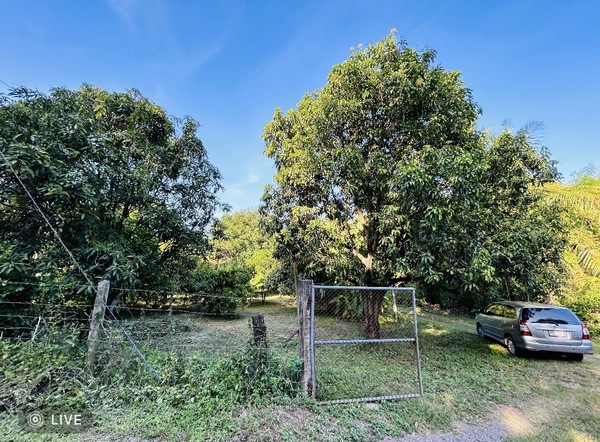  ขายที่ดินพร้อมบ้านสวน ห้อง เนื้อที่ 1ไร่ 13 ตร.ว. [M25662] อ.ชัยบาดาล จ.ลพบุรี  