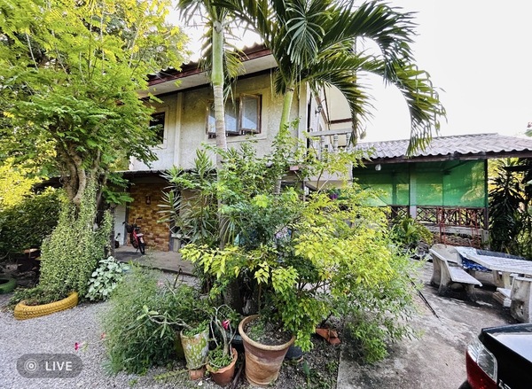  ขายที่ดินพร้อมบ้านสวน ห้อง เนื้อที่ 1ไร่ 13 ตร.ว. [M25662] อ.ชัยบาดาล จ.ลพบุรี  