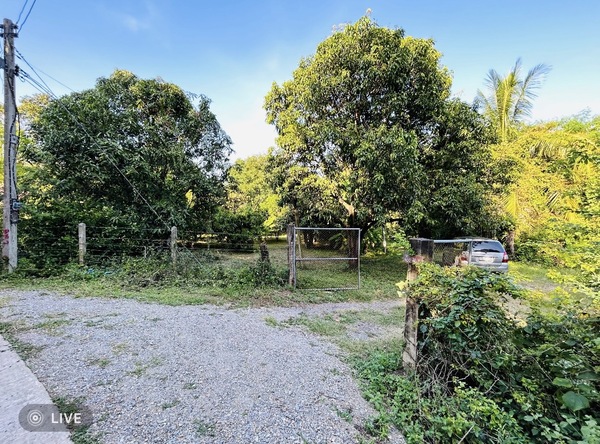  ขายที่ดินพร้อมบ้านสวน ห้อง เนื้อที่ 1ไร่ 13 ตร.ว. [M25662] อ.ชัยบาดาล จ.ลพบุรี  