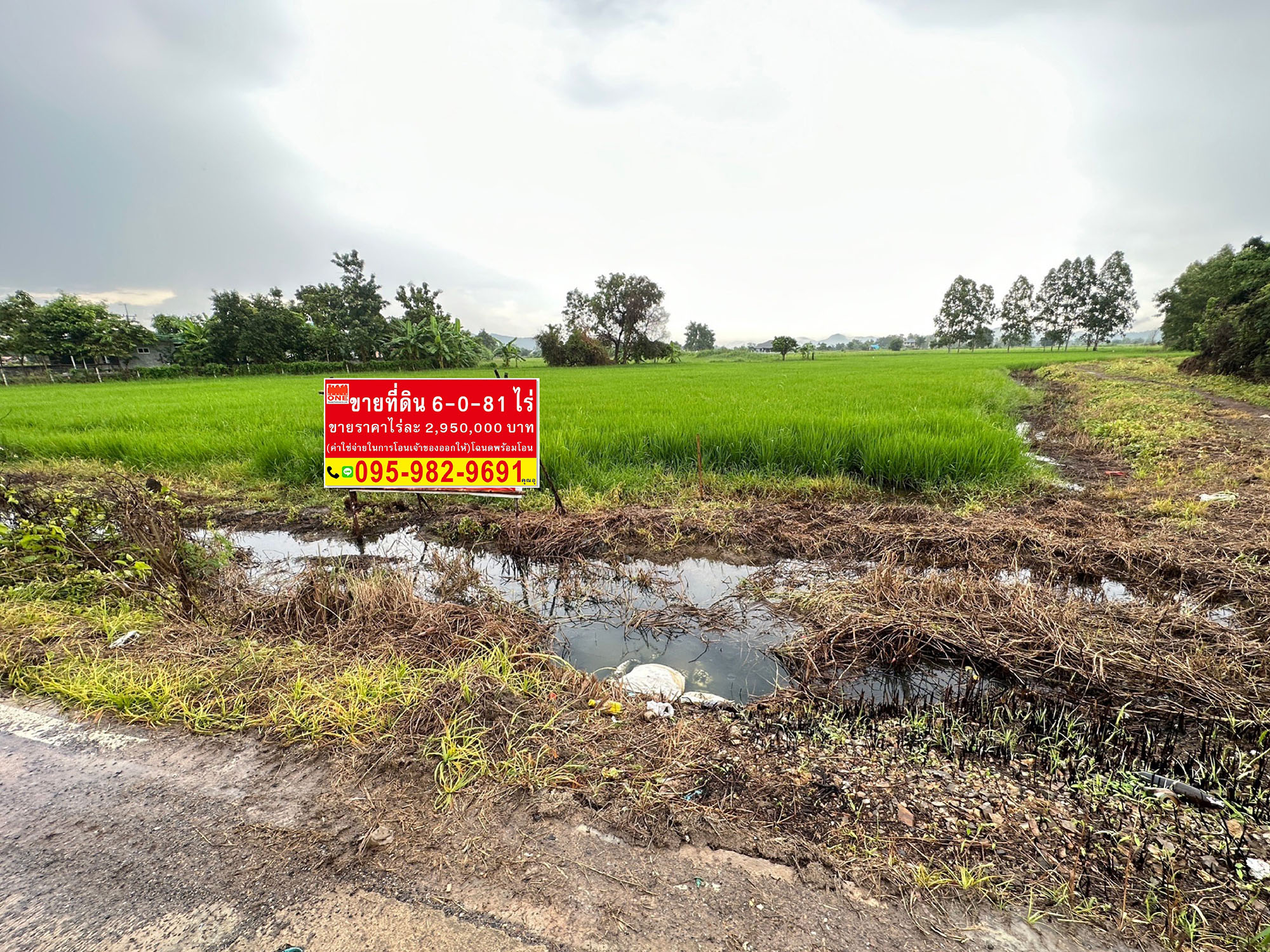 ขายที่ดิน ต.โคกสว่าง อ.เมืองสระบุรี จ.สระบุรี 18000