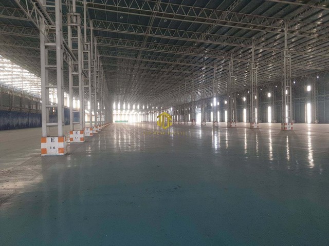 โรงงานให้เช่าขนาด 3,000-80,000 ตรม. อ.หนองใหญ่ จ.ชลบุรี