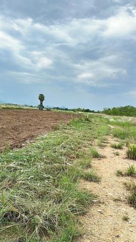 ขายที่ดินสวยสวยวิวเขาล้อมรอบ อำเภอหัวหิน จังหวัดประจวบคีรีขันธ์