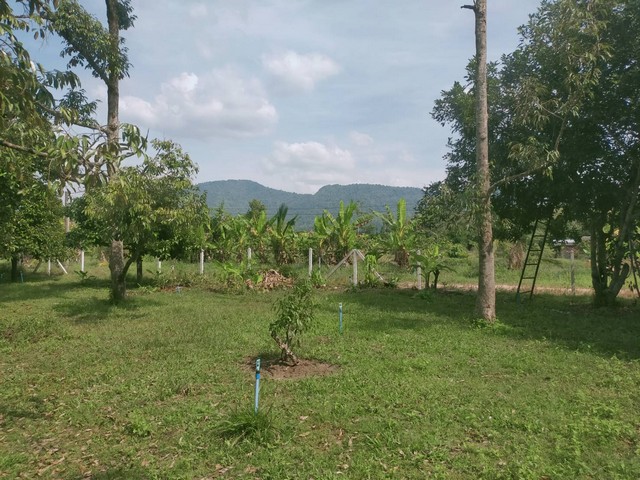 ขายสวนผสมวิวเขาใกล้เมืองระยอง เขตบ้านแลง แบ่งขายได้ 