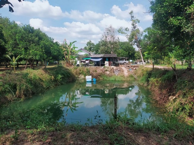 ขายบ้านพร้อมสวนผสมเขตบ้านแลง อ.เมืองระยอง วิวเขาสวยมาก