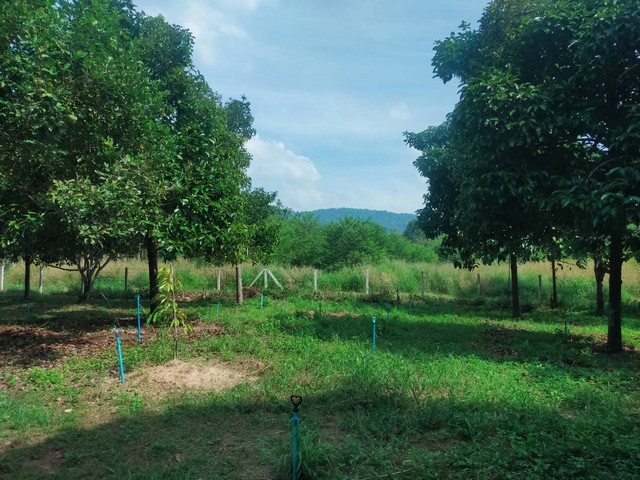 ขายบ้านพร้อมสวนผสมเขตบ้านแลง อ.เมืองระยอง วิวเขาสวยมาก