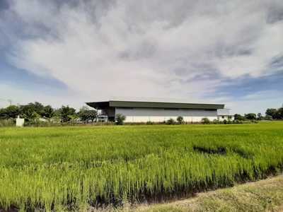 ขายโกดัง5ไร่ ถนนบางบัวทอง340 ไทยน้อย นนทบุรี  โซนสีเขียว ขอรง.ได้ *ใกล้โรงงานไฮเนเก้น