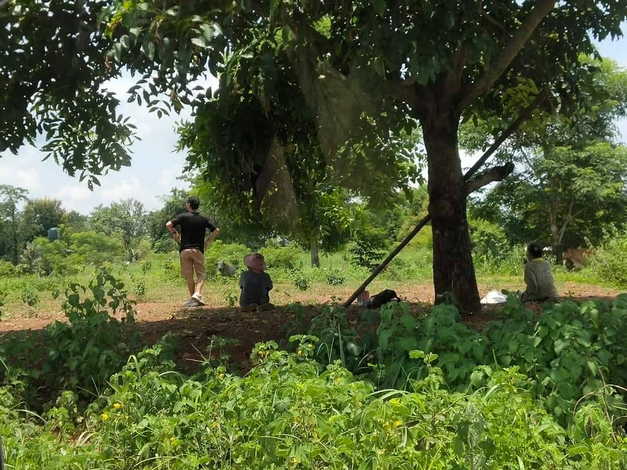 ขายที่ดินเปล่า 3 แปลง  ติดกัน จ.สกลนคร ใกล้ ม.เกษตรเฉลิมพระเกียรติ