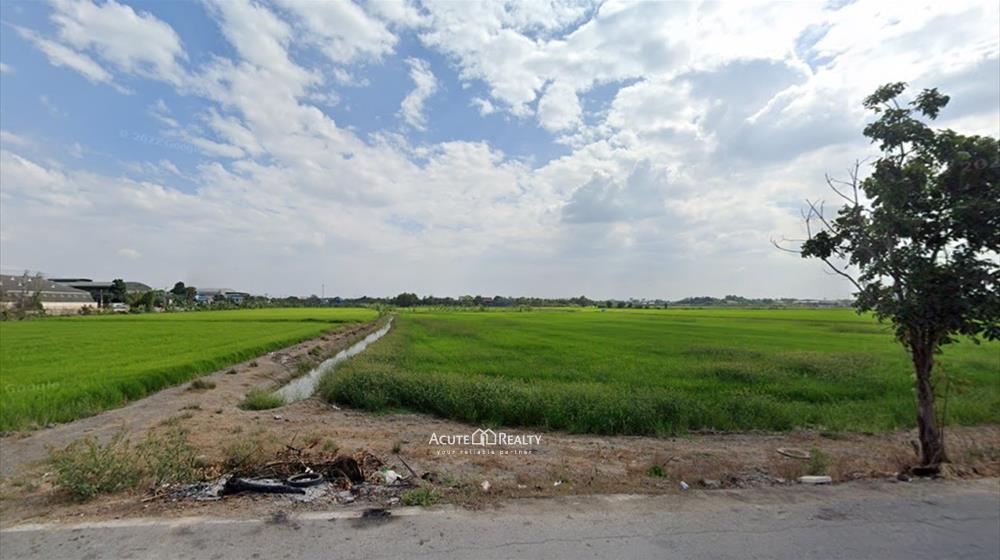 ขายที่นา ใกล้ อบต.คลองข่อย จากถนนราชพฤกษ์ 1.5 กม. ถึงที่ดิน ที่ติดถนน 2 เส้นเนื้อที่รวม 70-0-85.5ไร่