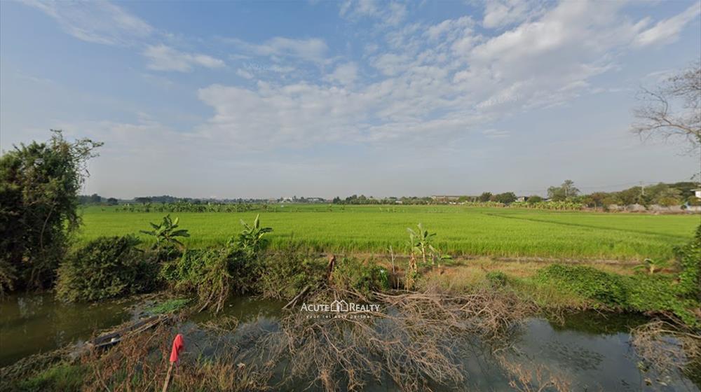 ขายที่นา ใกล้ อบต.คลองข่อย จากถนนราชพฤกษ์ 1.5 กม. ถึงที่ดิน ที่ติดถนน 2 เส้นเนื้อที่รวม 70-0-85.5ไร่
