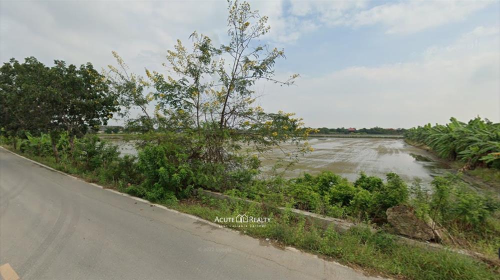 ขายที่นา ใกล้ อบต.คลองข่อย จากถนนราชพฤกษ์ 1.5 กม. ถึงที่ดิน ที่ติดถนน 2 เส้นเนื้อที่รวม 70-0-85.5ไร่