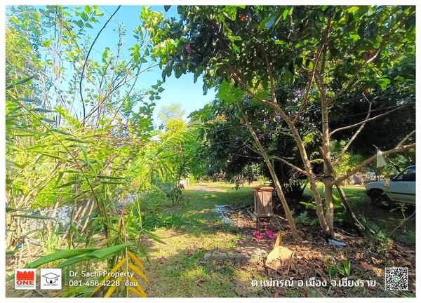 ขายที่ดินบรรยากาศดี ใกล้ ไร่บุญรอด สิงห์ปาร์ค 1-1-88.7 ไร่ พร้อมสวนผลไม้ ต.แม่กรณ์ อ.เมือง จ.เชียงราย 