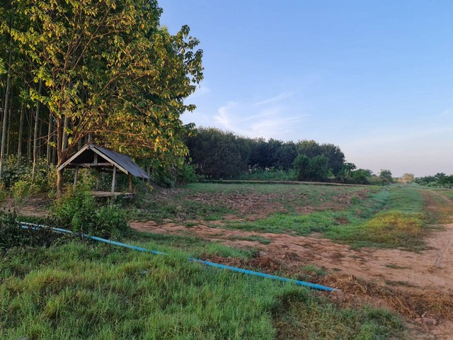 ขายที่ดินติดแม่น้ำโขง 18-2-70 ไร่ ต.กุดบง อ.โพนพิสัย จ.หนองคาย หน้าติดถนนโยธาธิการ หลังติดแม่น้ำโขง ไร่ละ 2ล้านบาท โทร 096-882-1857